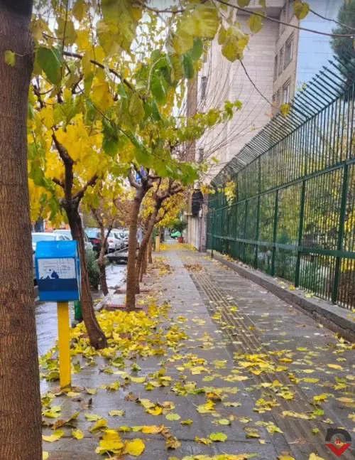 گالری خوابگاه «خوابگاه دخترانه گل رز» — تصویر 2
